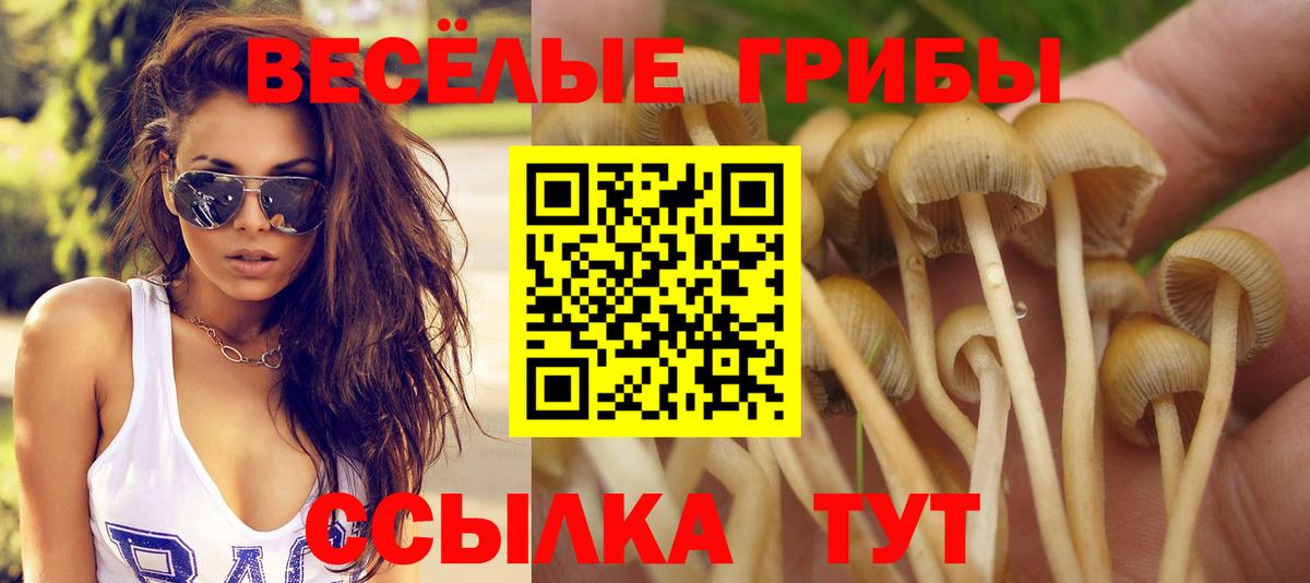Истра  Галлюциногенные грибы Psilocybe  Вход с VPN 